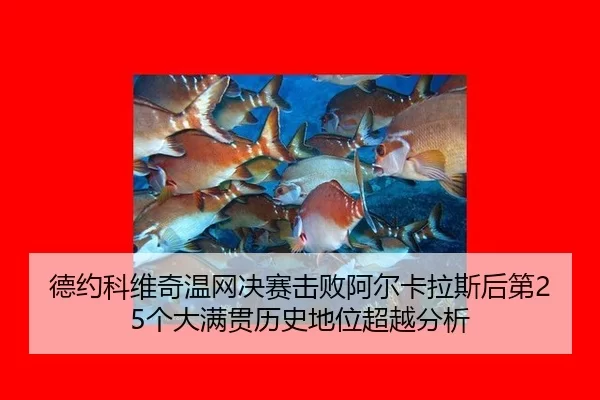 德约科维奇温网决赛击败阿尔卡拉斯后第25个大满贯历史地位超越分析