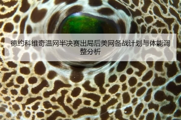 de-yue-ke-wei-qi-wen-wang-ban-jue-sai-chu-ju-hou-mei-wang-bei-zhan-ji-hua-yu-ti-neng-tiao-zheng-fen-xi-2-286.jpg